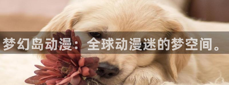 omofun自签
