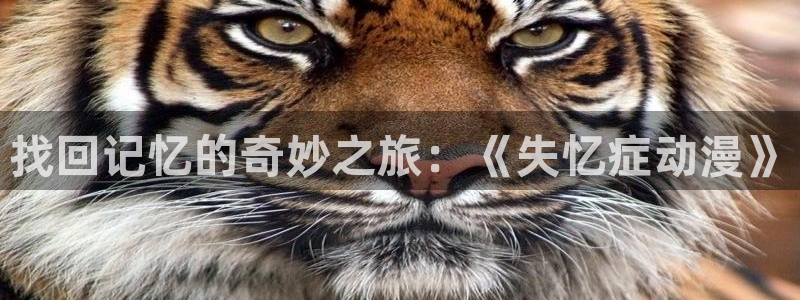 omofun网页入口：找回记忆的奇妙之旅：《失忆症动漫》