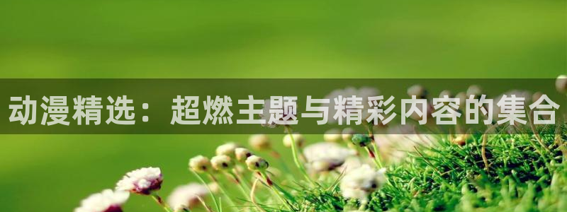 omofun.oni：动漫精选：超燃主题与精彩内容的集合
