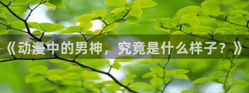 omofun 动漫：《动漫中的男神，究竟是什么样子？》