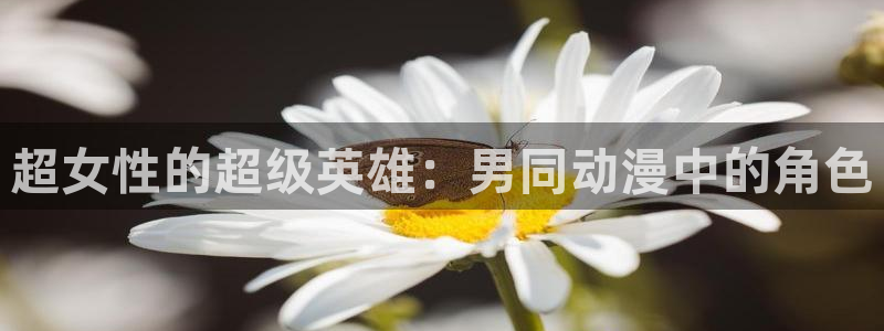 omofun官方网站入口：超女性的超级英雄：男同动漫中的角色