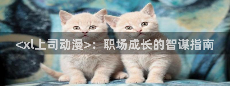 omofun官方app下载：<xl上司动漫>：职场成长的智谋指南