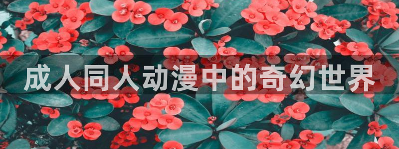 omofun是正经软件吗：成人同人动漫中的奇幻世界