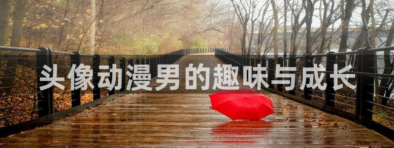omofun网址：头像动漫男的趣味与成长