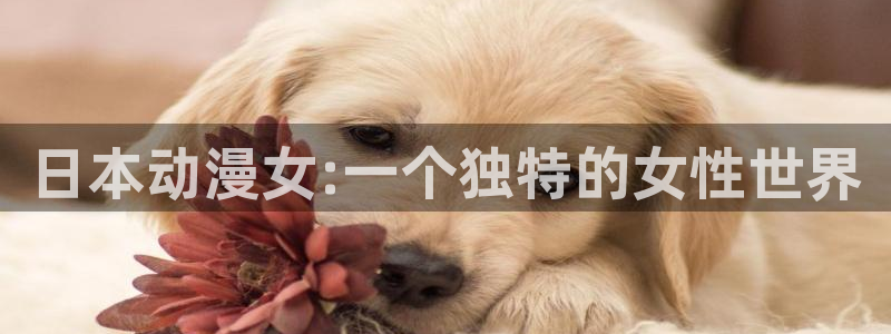 omofun(动漫共和国)：日本动漫女:一个独特的女性世界