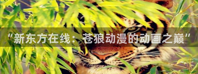 omofun\\：“新东方在线：苍狼动漫的动画之巅”
