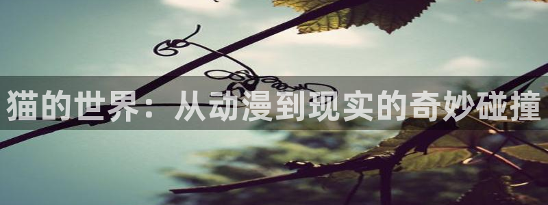 omofun吧：猫的世界：从动漫到现实的奇妙碰撞