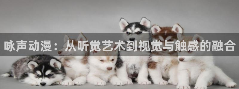 omofun 网站：咏声动漫：从听觉艺术到视觉与触感的融合