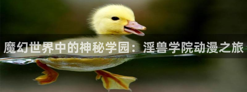 omofun动漫最新版本：魔幻世界中的神秘学园：淫兽学院动漫之旅