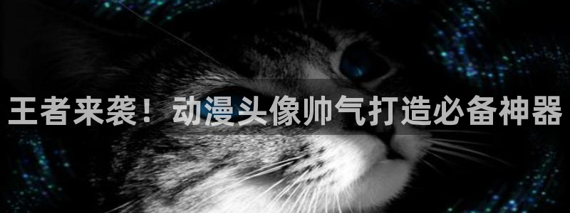 o站(omofun)官网：王者来袭！动漫头像帅气打造必备神器