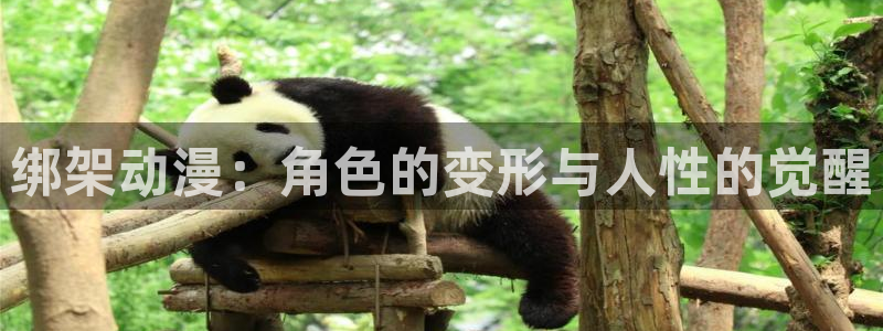 omofun. com：绑架动漫：角色的变形与人性的觉醒