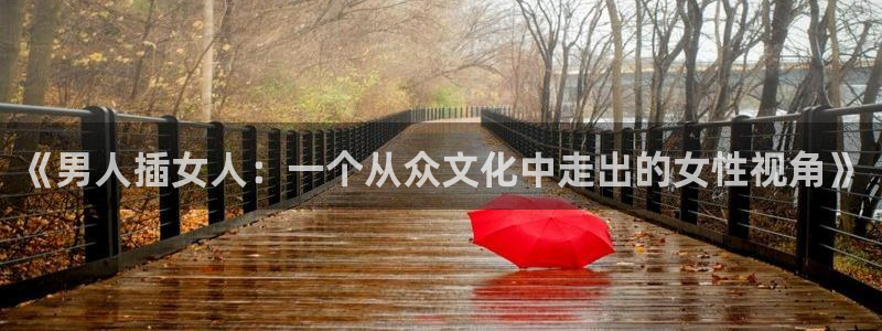 omofun下载官方app：《男人插女人：一个从众文化中走出的女性视角》