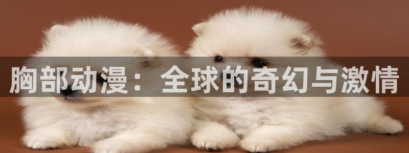 #omofun：胸部动漫：全球的奇幻与激情