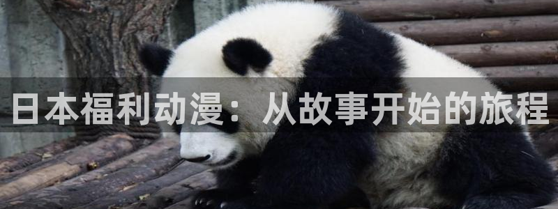 omofun官方网站进入：日本福利动漫：从故事开始的旅程