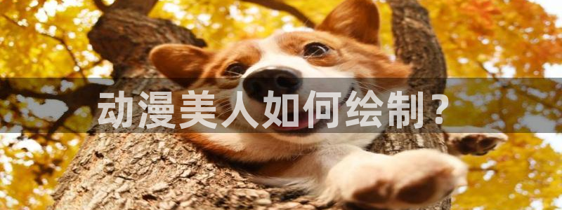 omofun动漫app：动漫美人如何绘制？