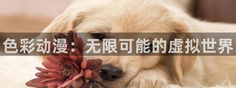 omofun下载ios苹果：色彩动漫：无限可能的虚拟世界
