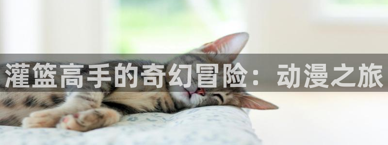 omofun网站：灌篮高手的奇幻冒险：动漫之旅